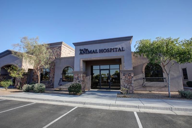 San Tan Animal Hospital in Queen Creek, AZ